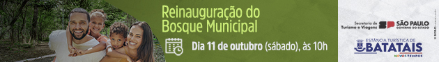 Digiqole ads
